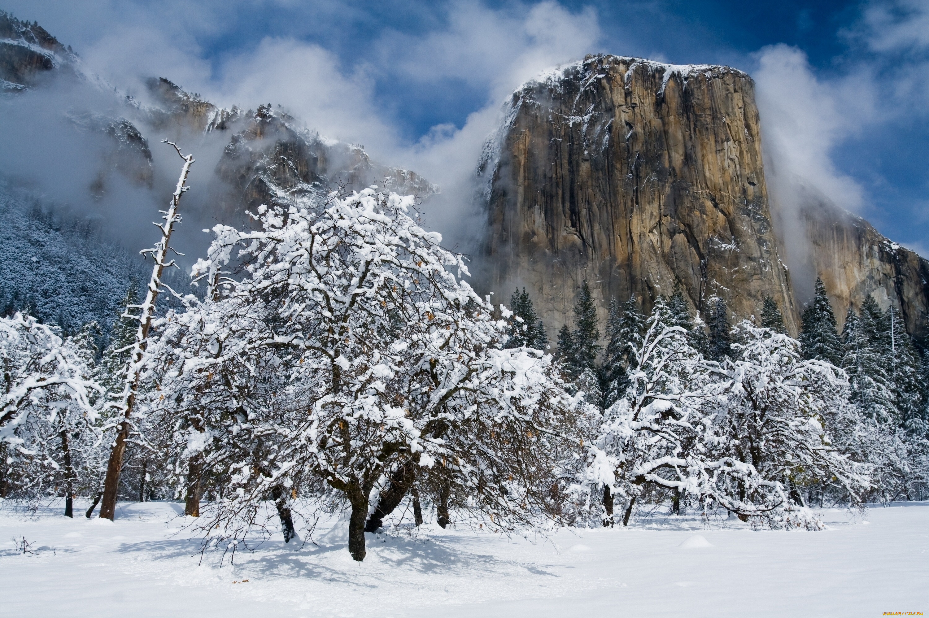 , , , , , , california, , -, , , , yosemite, national, park, el, capitan